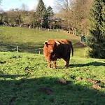 Daire Und Monteurwohnung Matthies Naehe Koeln 30km