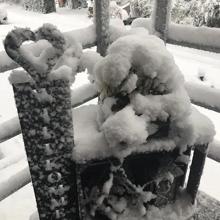 דירה Und Monteurwohnung Matthies Naehe Koeln 30km *