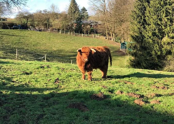 アパート Und Monteurwohnung Matthies Naehe Koeln 30km