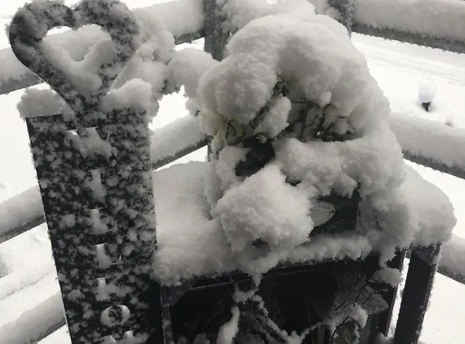 アパート Und Monteurwohnung Matthies Naehe Koeln 30km *